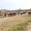 Eventi